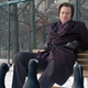 Image for article titled Mr. Popper’s Penguins